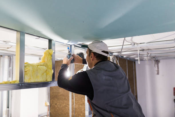 Best Attic Insulation Installation  in Sikeston, MO